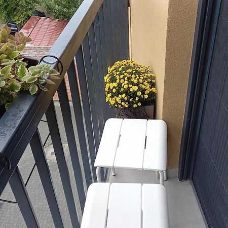 Apartman Liliom ซูโบติกา ภายนอก รูปภาพ
